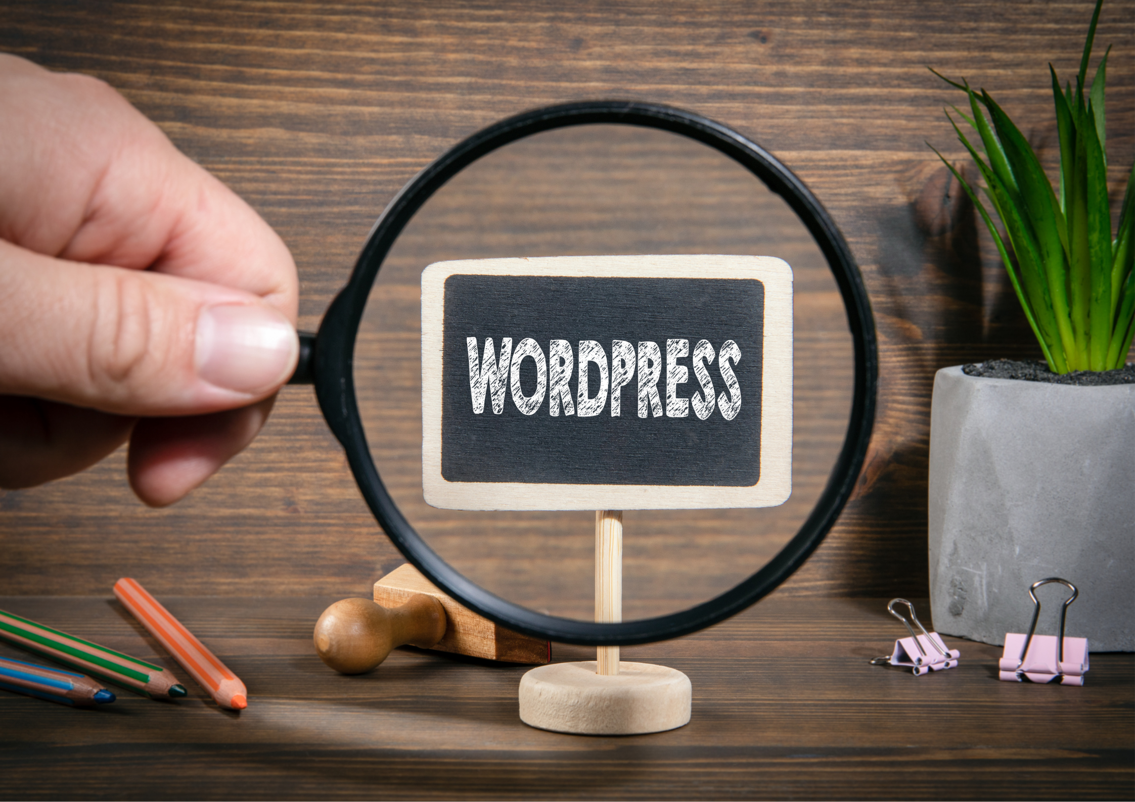 FORMATION AU CMS WORDPRESS